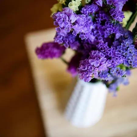 Πανσιόν The Local Lisboa